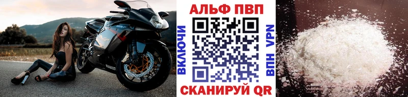 Alpha-PVP СК  сколько стоит  kraken вход  Теберда 
