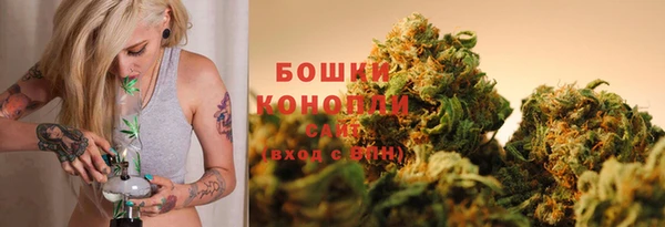 гидра Армянск