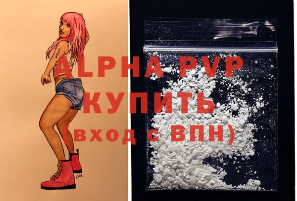 спиды Аркадак