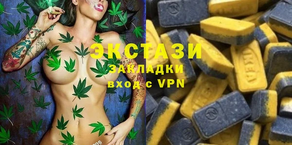 стаф Арсеньев