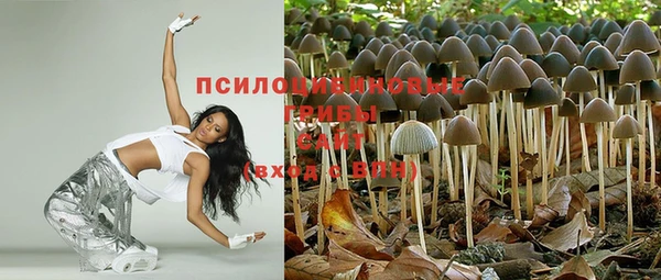 спиды Аркадак