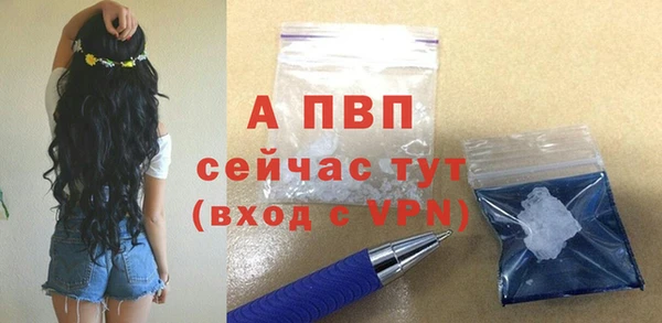 стаф Арсеньев