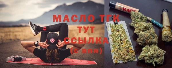 стаф Арсеньев