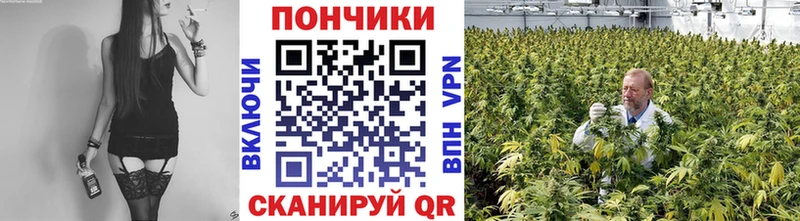 Бошки марихуана VHQ  блэк спрут   Теберда 